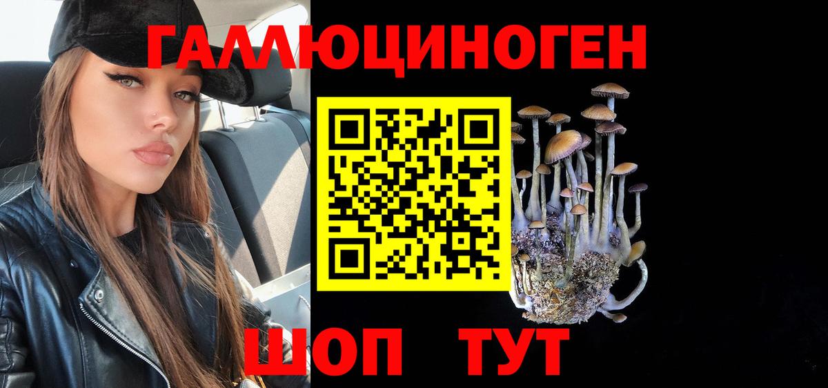 Галлюциногенные грибы Psilocybine cubensis  Галлюциногенные грибы мухоморы  Спасск-Дальний  Вход с VPN 